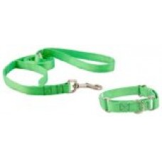 Country Brook Design Martingale Heavy-duty Nylon Dog Collar and Double Handle Leash Set Hot Lime Green Small