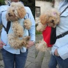 Pesp® Fashionable Durable Dacron Cotton Mesh Pet Dog Cat Legs Out Travel Front Backpack Carrier Bag