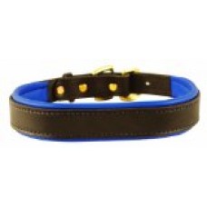 Perri's Padded Leather Dog Collar, Havana/Blue, Large1.25