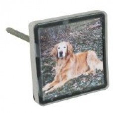 Pet Memory Stones, Memorial Headstone, Small with Customizable Photo Frame