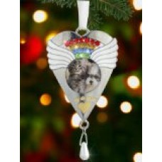 Rainbow Bridge Ornament -- Beautiful Rainbow Crystals and White Angel Wings Surround a Photo of Your Precious Pet -- Gift Boxed with the Rainbow Bridge Poem -- Pet Memorial Gift, Loss of a Pet, Pet Sympathy, Pet Remembrance