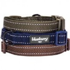 Blueberry Pet Reflective Padded Adjustable Dog Collar, Small, Olive Green