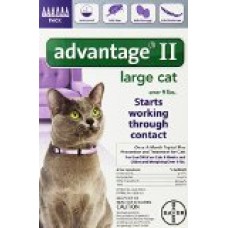 Bayer Advantage II, Large Cat, Over 9-Pound, 6-Month