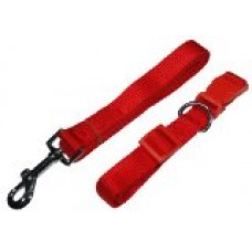 Zone 70 Dog Collar and Leash Set, Red, in Small, Medium, and Large (Small)