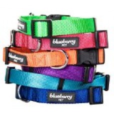 Blueberry Pet 3/8-Inch Classic Solid Basic Polyester Nylon Dog Collar, X-Small, Florence Orange