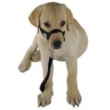 GoldWorld Dog Behavior Training Nylon Head Collar (XXL, Black)