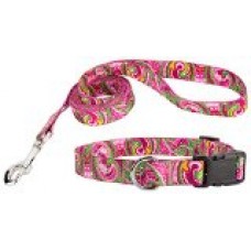 Country Brook Design® Pink Paisley Deluxe Dog Collar & Matching Leash Set-S