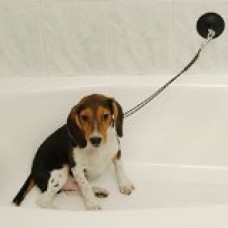 Dog Grooming Stay-N-Wash Tub Restraint Keeps Dog in Tub