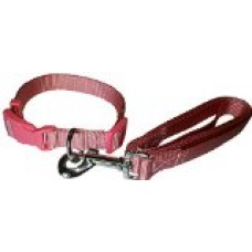 Zone 70 Dog Collar and Leash Set (Pink, Small)