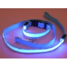 LED High Visibility Flashing Lights Nylon Dog Collar and Leash (Set) (Blue, Small)